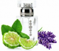 Pánský parfém Essens 50ml m032 - zvětšit obrázek