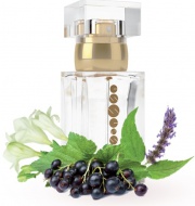 Dámský parfém Essens 50ml W 148 - zvětšit obrázek